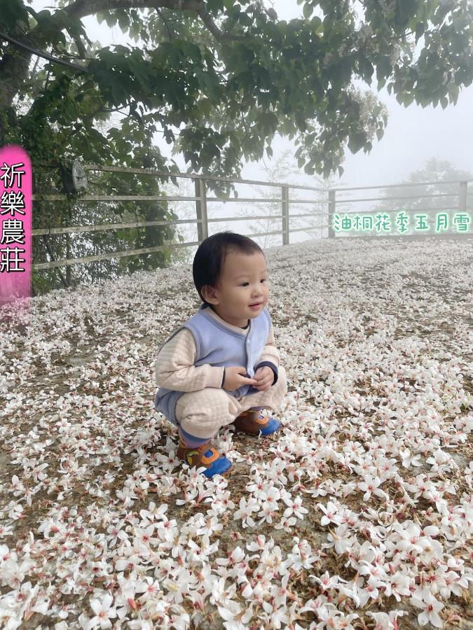 Lala Mountain Homestay‧Cile Farm Hualing Ngoại thất bức ảnh